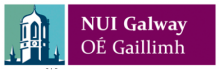 Irish Studies Galway